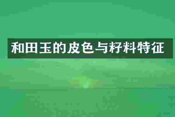 和田玉的皮色与籽料特征