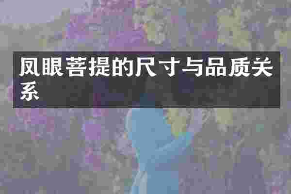 凤眼菩提的尺寸与品质关系
