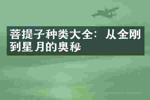 菩提子种类大全：从金刚到星月的奥秘