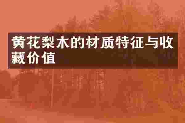 黄花梨木的材质特征与收藏价值