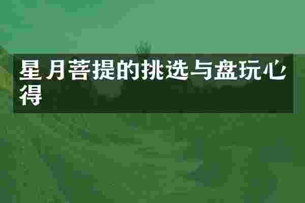 星月菩提的挑选与盘玩心得