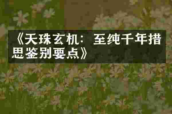 《天珠玄机：至纯千年措思鉴别要点》