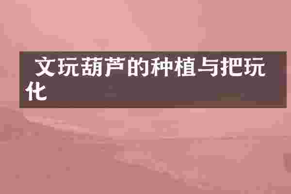  文玩葫芦的种植与把玩文化
