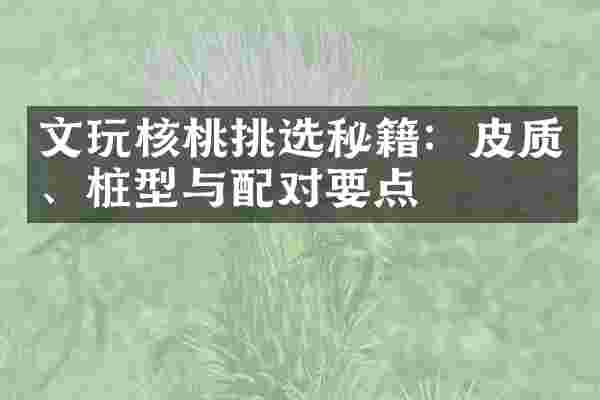 文玩核桃挑选秘籍：皮质、桩型与配对要点