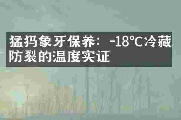 猛犸象牙保养：-18℃冷藏防裂的温度实证