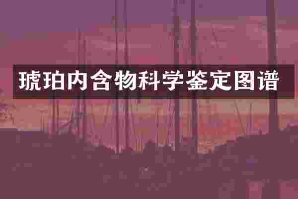 琥珀内含物科学鉴定图谱