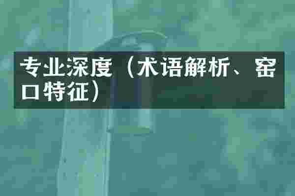 专业深度（术语解析、窑口特征）