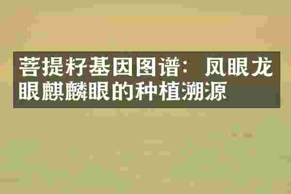 菩提籽基因图谱：凤眼龙眼麒麟眼的种植溯源