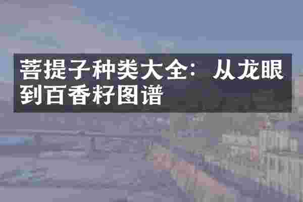 菩提子种类大全:从龙眼到百香籽图谱