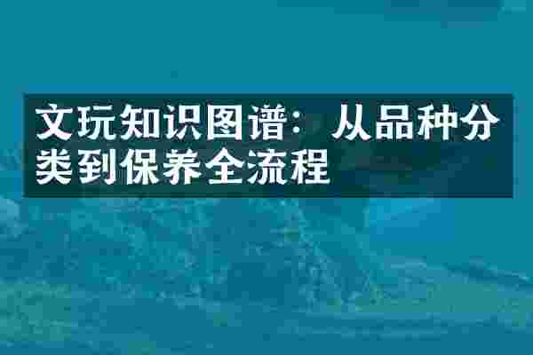 文玩知识图谱：从品种分类到保养全流程