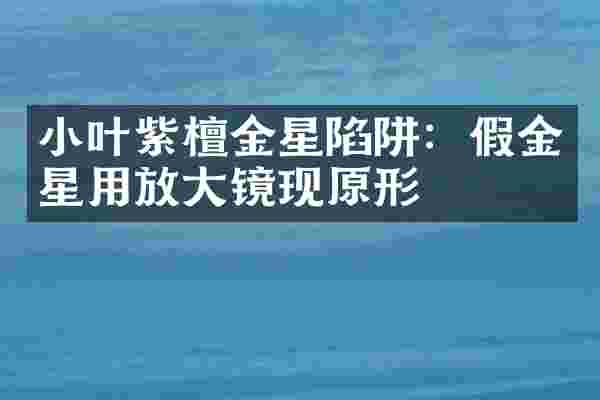 小叶紫檀金星陷阱：假金星用放大镜现原形