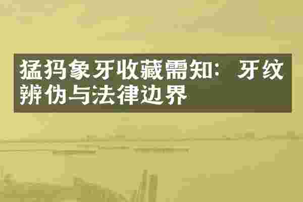 猛犸象牙收藏需知：牙纹辨伪与法律边界