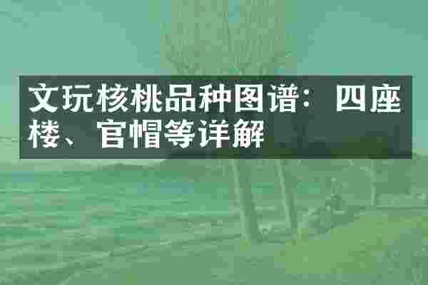 文玩核桃品种图谱：四座楼、官帽等详解