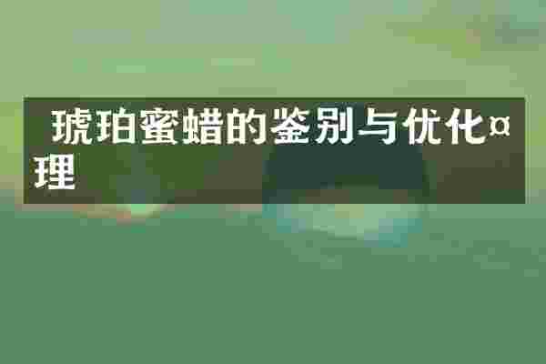  琥珀蜜蜡的鉴别与优化处理