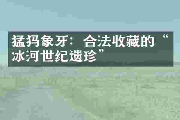 猛犸象牙：合法收藏的&ldquo;冰河世纪遗珍&rdquo;