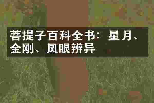 菩提子百科全书:星月、金刚、凤眼辨异