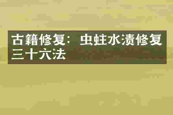 古籍修复:虫蛀水渍修复三十六法