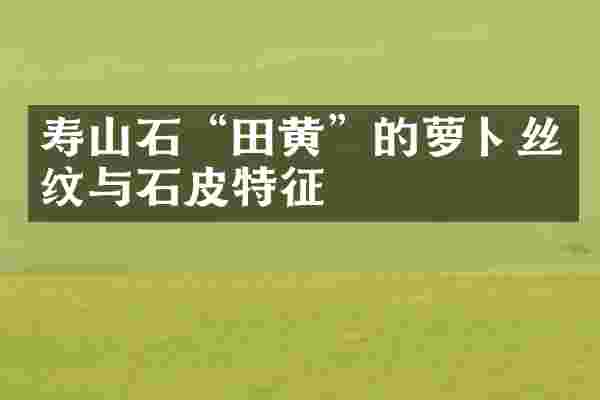 寿山石&ldquo;田黄&rdquo;的萝卜丝纹与石皮特征