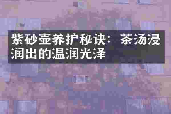 紫砂壶养护秘诀：茶汤浸润出的温润光泽