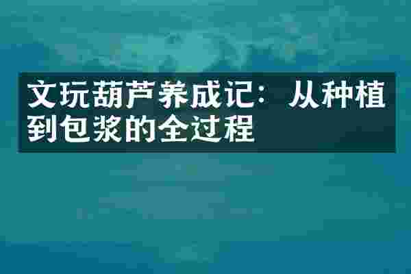 文玩葫芦养成记：从种植到包浆的全过程