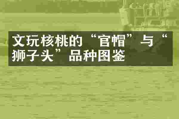 文玩核桃的&ldquo;官帽&rdquo;与&ldquo;狮子头&rdquo;品种图鉴
