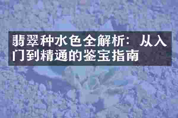 翡翠种水色全解析：从入门到精通的鉴宝指南
