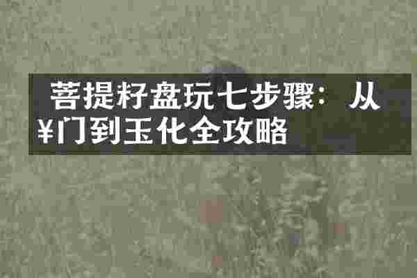  菩提籽盘玩七步骤：从入门到玉化全攻略