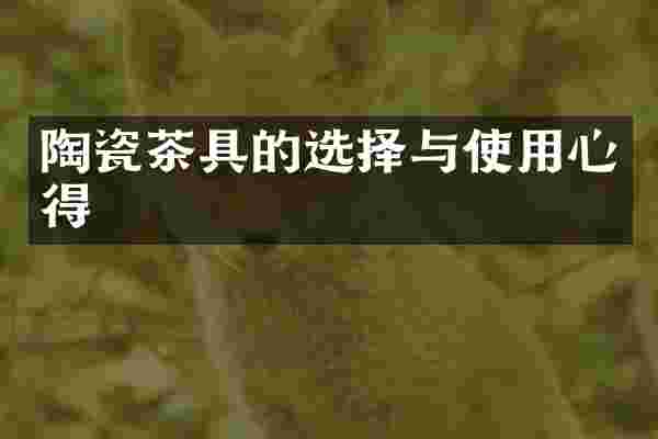 陶瓷茶具的选择与使用心得