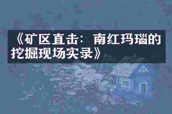 《矿区直击：南红玛瑙的挖掘现场实录》