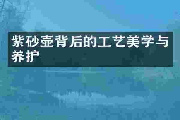 紫砂壶背后的工艺美学与养护