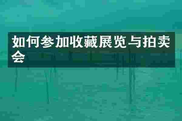 如何参加收藏展览与拍卖会